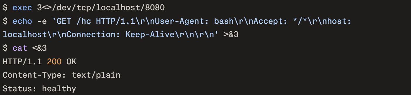 Raw HTTP request via bash /dev/tcp screenshot